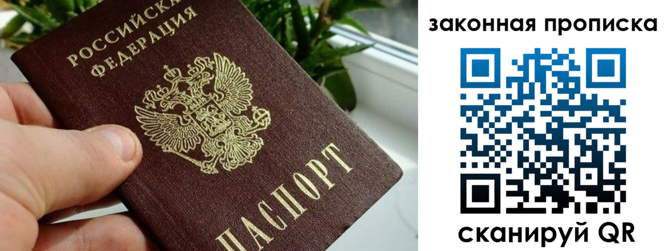 прописка в квартире в Великих Луках